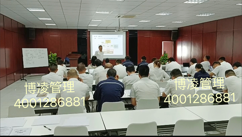 杭州钱潮供应链有限公司携手博凌管理IATF16949:2016培训